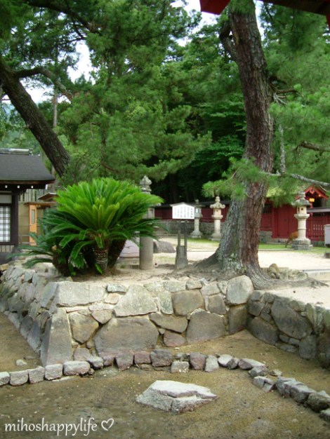 Miyajima_29