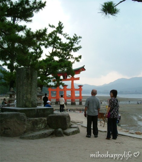 Miyajima_39