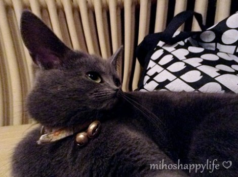 xmas2012_fun3_zps52ad07ee