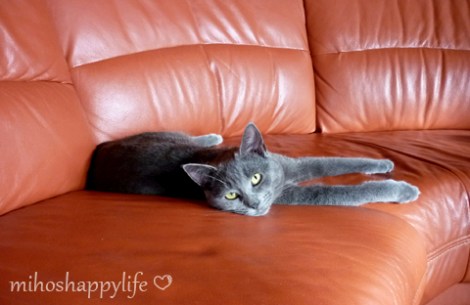 xmas2012_zps9fb7a8db