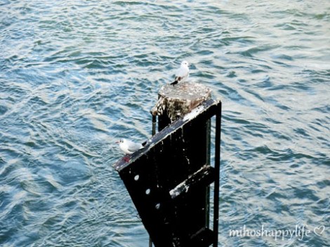 CupcakeAffairBasel_2