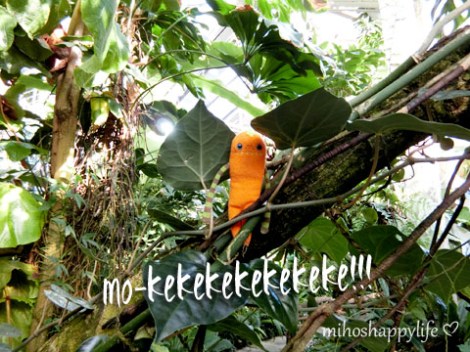 CupcakeAffairBasel_5