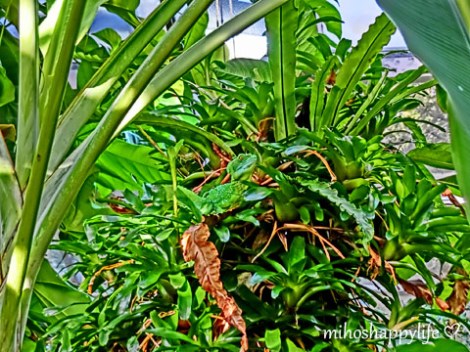 CupcakeAffairBasel_7