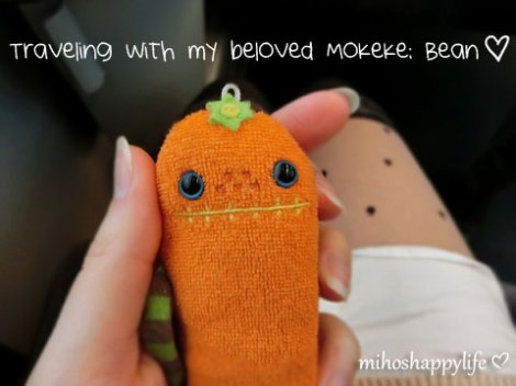 MokekeTravel1_3