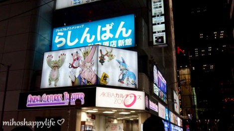 Akihabara_44