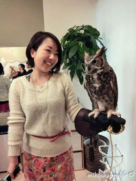 OwlCafe_17