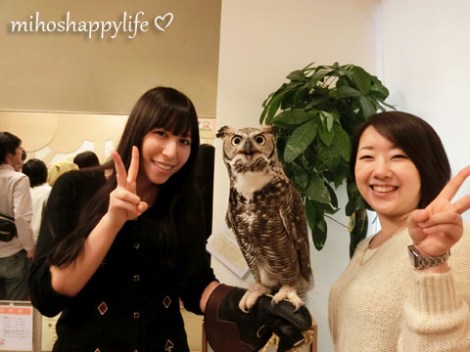OwlCafe_18