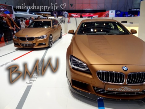 Autosalon_19_zpsdc3b25c6