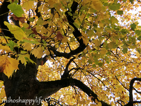 CharityBazaarZug2015_32