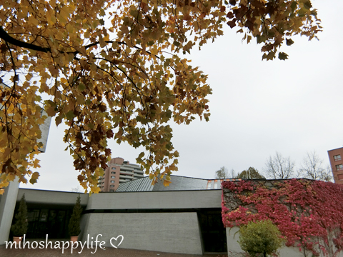 CharityBazaarZug2015_33