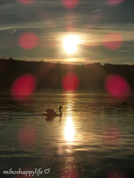 HeavenlyAutumnDays_11