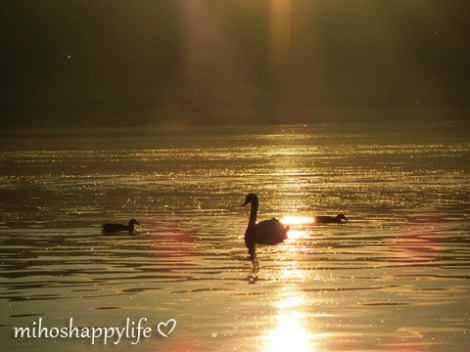 HeavenlyAutumnDays_12