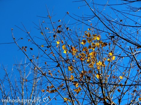 HeavenlyAutumnDays_25