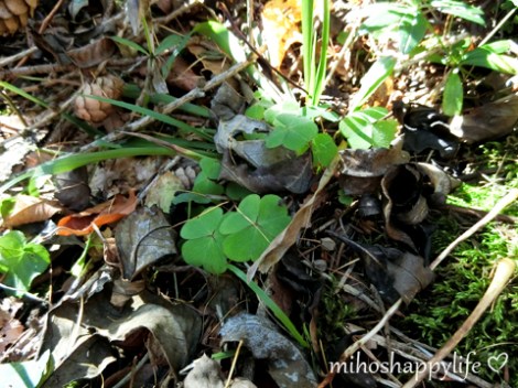 HeavenlyAutumnDays_34