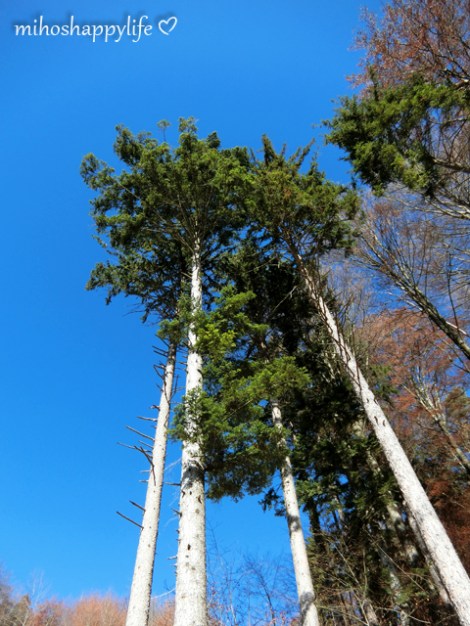 HeavenlyAutumnDays_42