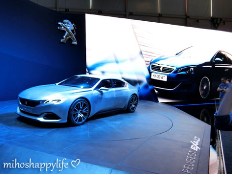 Motorshow2015_21