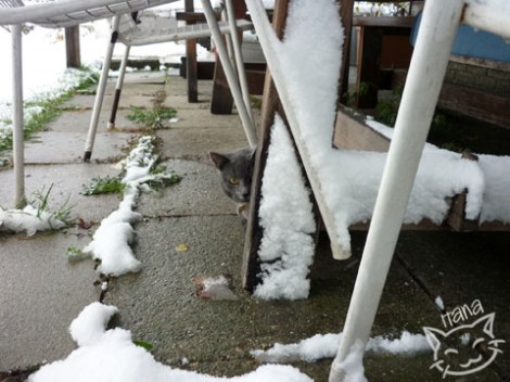 HanaDiary2013_6_zpsd158e20c