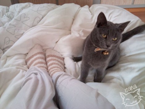 HanaDiary2013_7_zpsd8064457