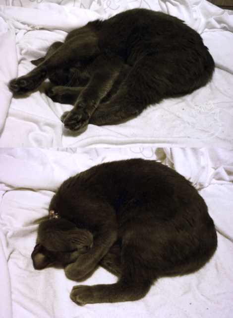 HanaDiary2013__zps5bb74b2d