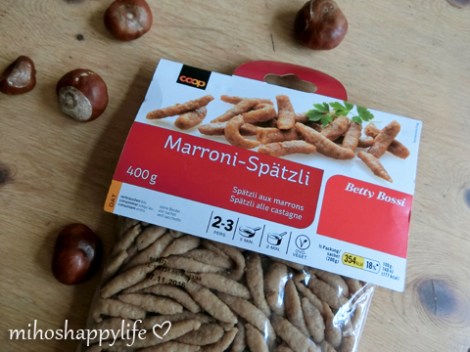 chestnut-marroni-autumn-11