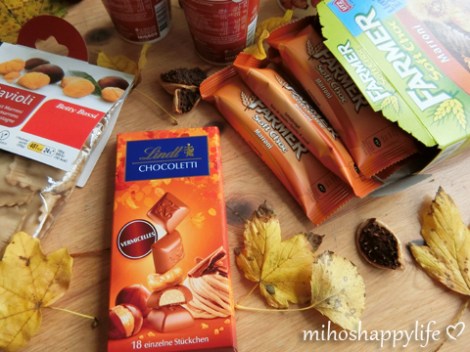 chestnut-marroni-autumn-2