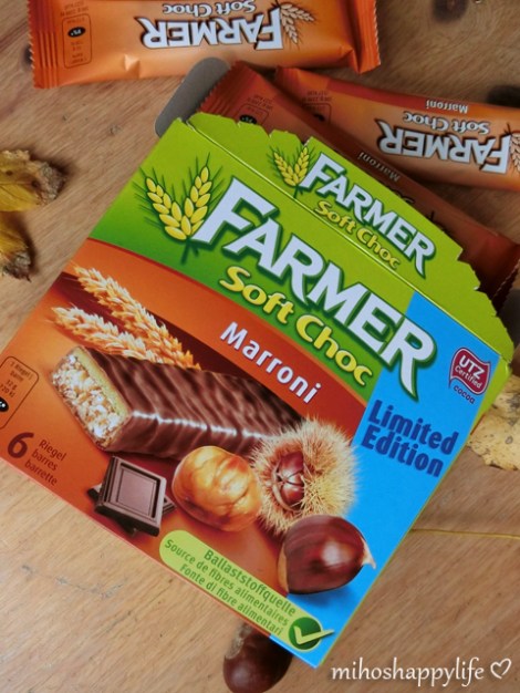 chestnut-marroni-autumn-7