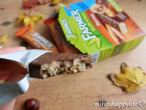 chestnut-marroni-autumn-8