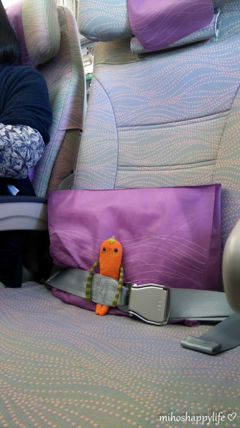 japan-travel-aldi-reisen-2015-7c