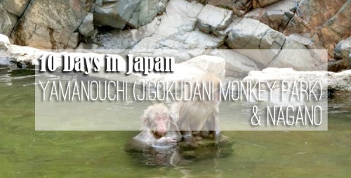 10-days-in-japan-yamanouchi-jigokudani-monkey-park-nagano