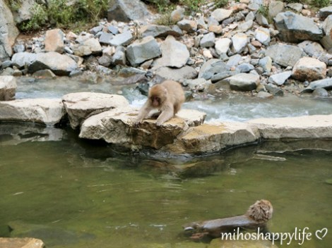 10-days-in-japan-yamanouchi-nagano-17