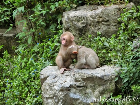 10-days-in-japan-yamanouchi-nagano-19