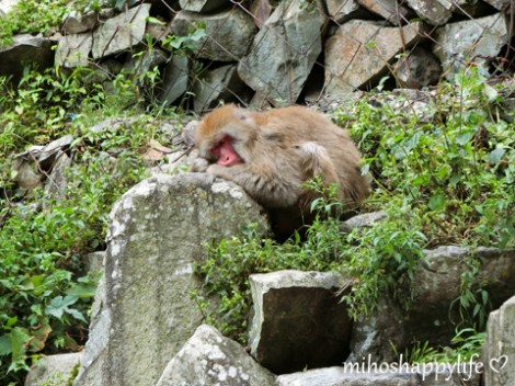 10-days-in-japan-yamanouchi-nagano-20