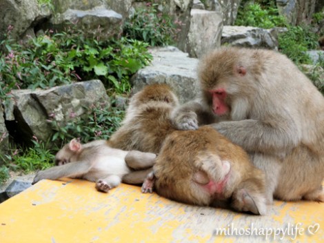 10-days-in-japan-yamanouchi-nagano-22