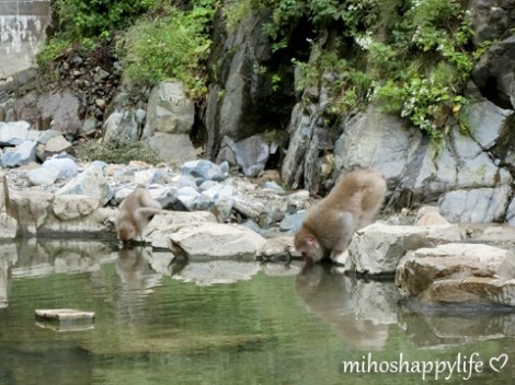 10-days-in-japan-yamanouchi-nagano-24