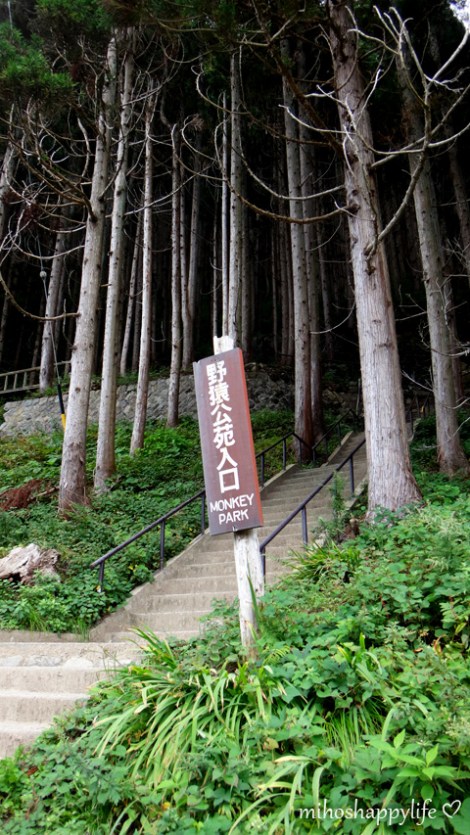 10-days-in-japan-yamanouchi-nagano-27