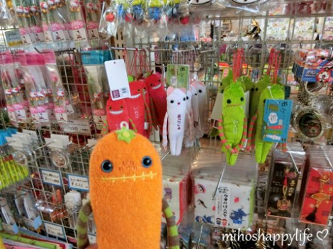 10-days-in-japan-yamanouchi-nagano-4