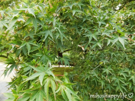 japan-in-10-days-kanazawa-24