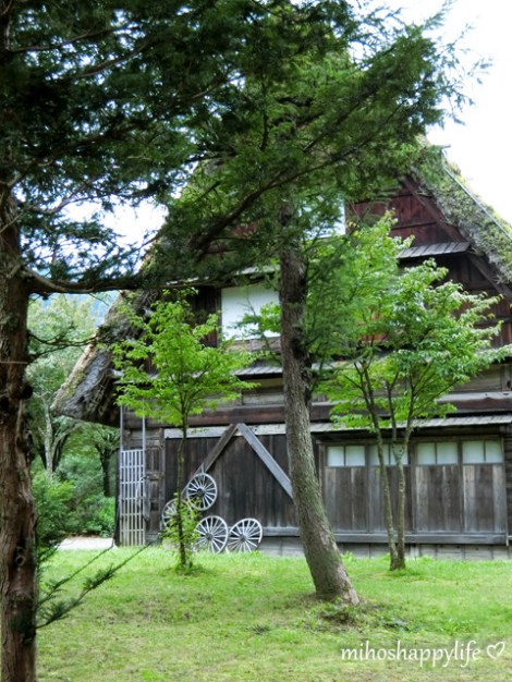 japan-in-10-days-shirakawa-go-takayama-10