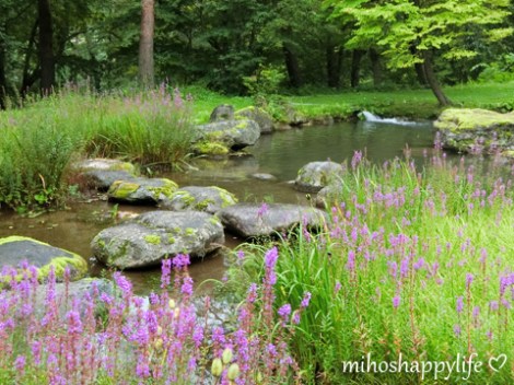 japan-in-10-days-shirakawa-go-takayama-11