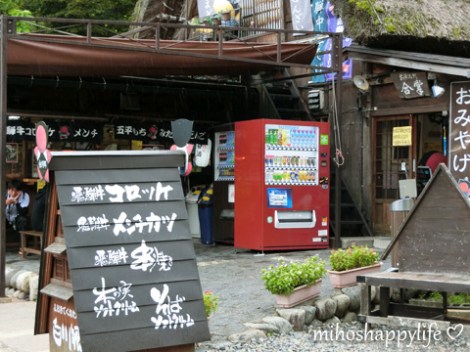 japan-in-10-days-shirakawa-go-takayama-13