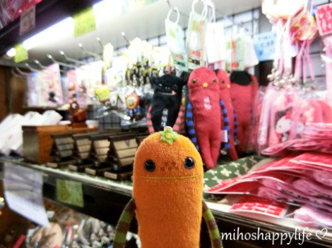 japan-in-10-days-shirakawa-go-takayama-14