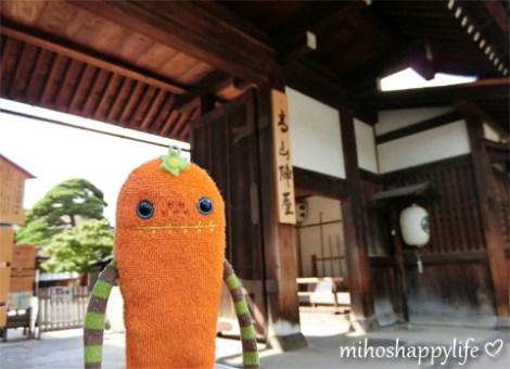 japan-in-10-days-shirakawa-go-takayama-30