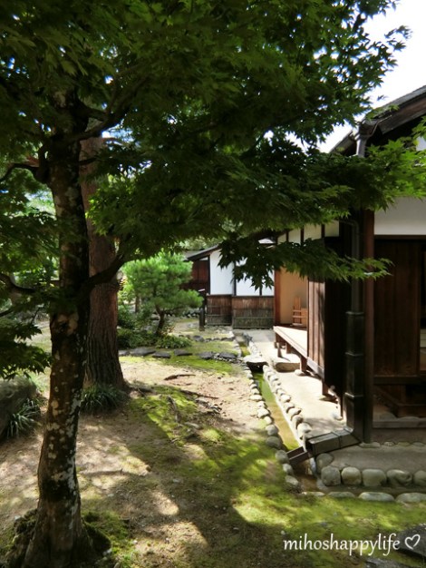 japan-in-10-days-shirakawa-go-takayama-34