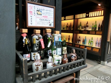 japan-in-10-days-shirakawa-go-takayama-37