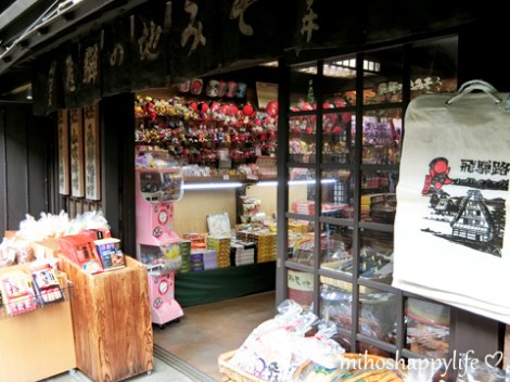 japan-in-10-days-shirakawa-go-takayama-39