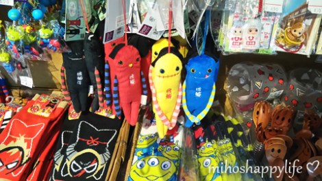 japan-in-10-days-shirakawa-go-takayama-41