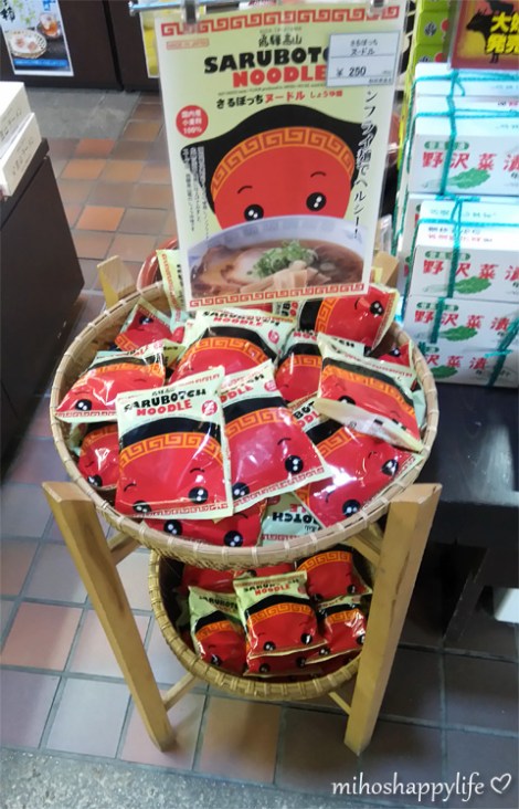 japan-in-10-days-shirakawa-go-takayama-43