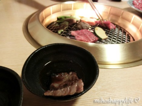 japan-in-10-days-shirakawa-go-takayama-47