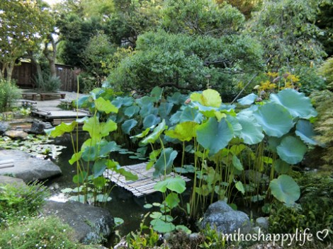 10-days-in-japan-fuji-kamakura-13