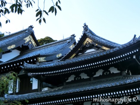 10-days-in-japan-fuji-kamakura-19